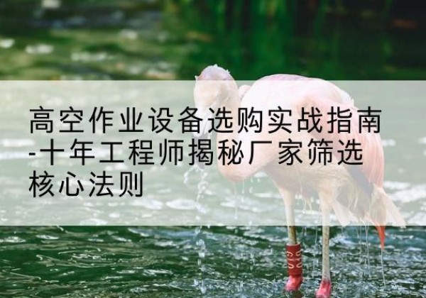 龙港剪叉式升降机厂家-高空作业设备选购实战指南-十年工程师揭秘厂家筛选核心法则